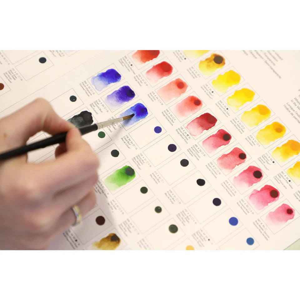 Carta de colores de tarjeta de puntos de acuarela profesional Winsor & Newton