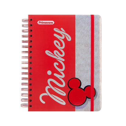 Planeador Primavera Mickey (2x12)