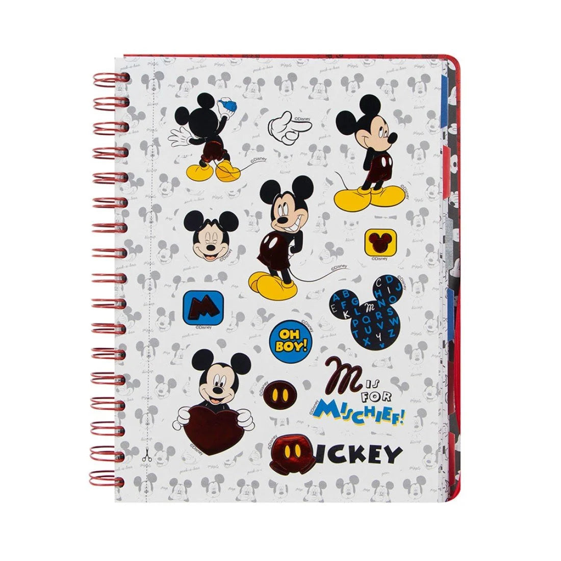 Planeador Primavera Mickey (2x12)