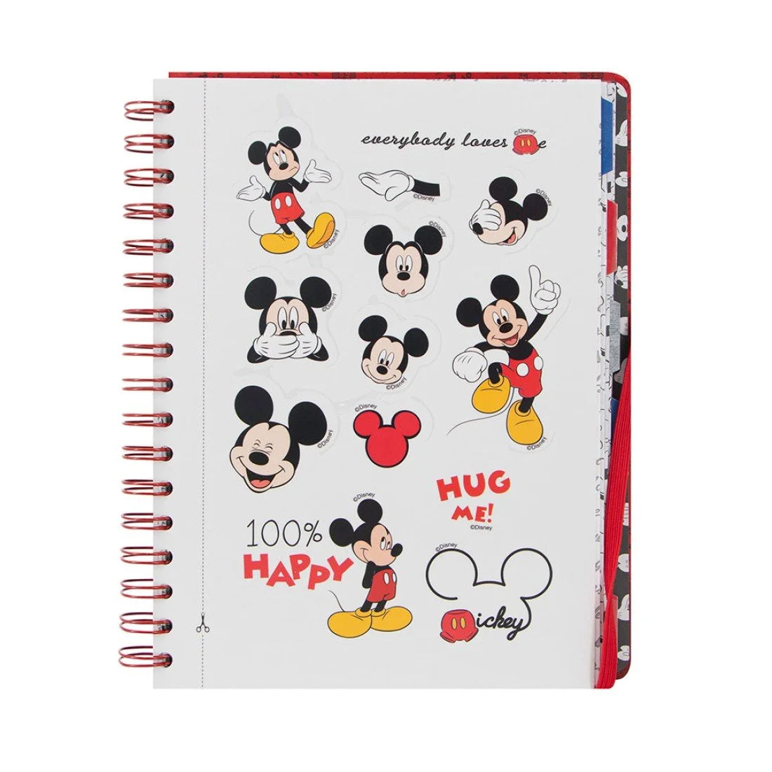 Planeador Primavera Mickey (2x12)