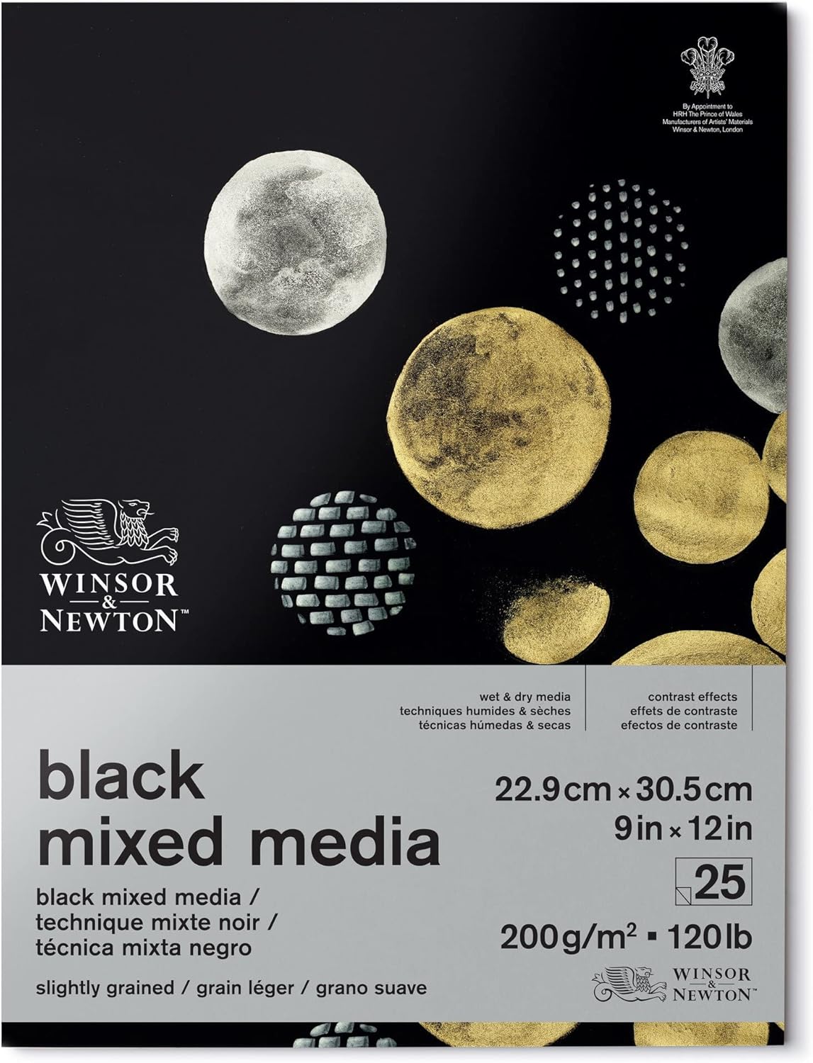 Winsor & Newton Bloc de medios mixtos profesional, 9" x 12", 25 hojas, 200gsm, negro