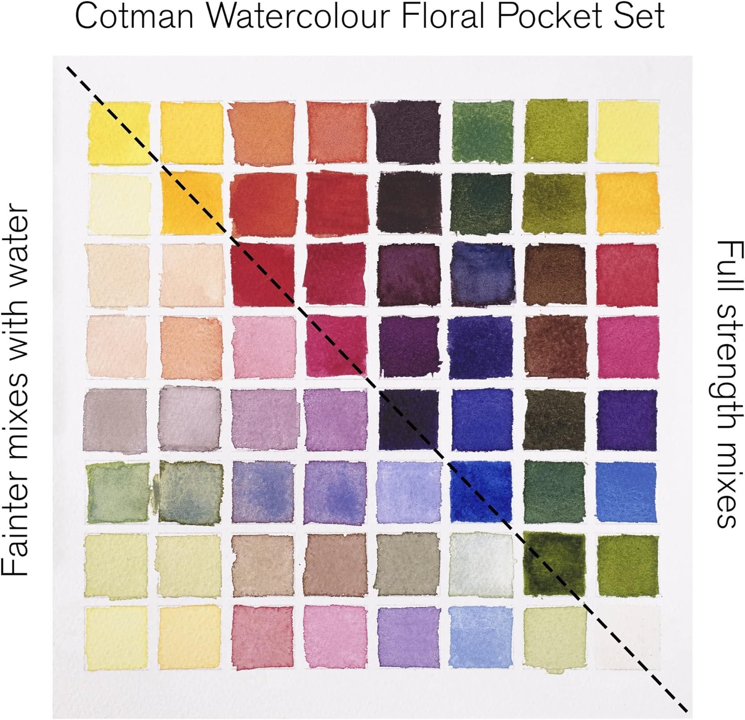 Winsor & Newton - Cotman - Juego de acuarelas, 8 medias pastillas florales Winsor & Newton