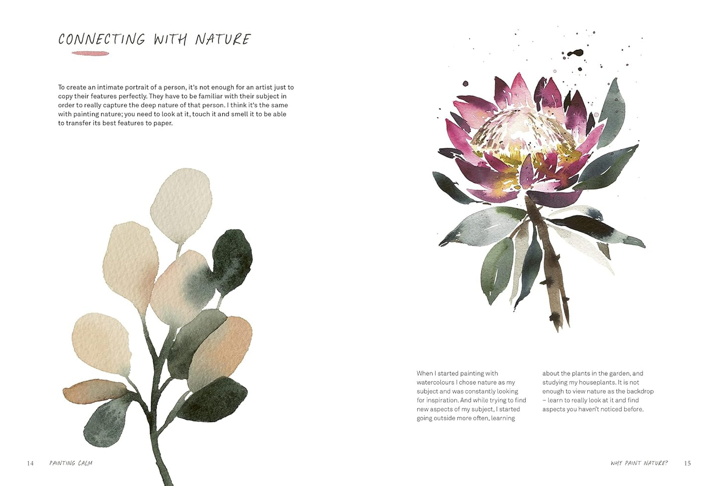 LIBRO DE INGLÉS Painting Calm: Connect to nature through the art of watercolour