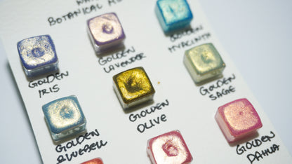 Acuarelas Artesanales:  Botanical Set Mini Pans- Chroma Watercolors KEEPLIVINGFASTER