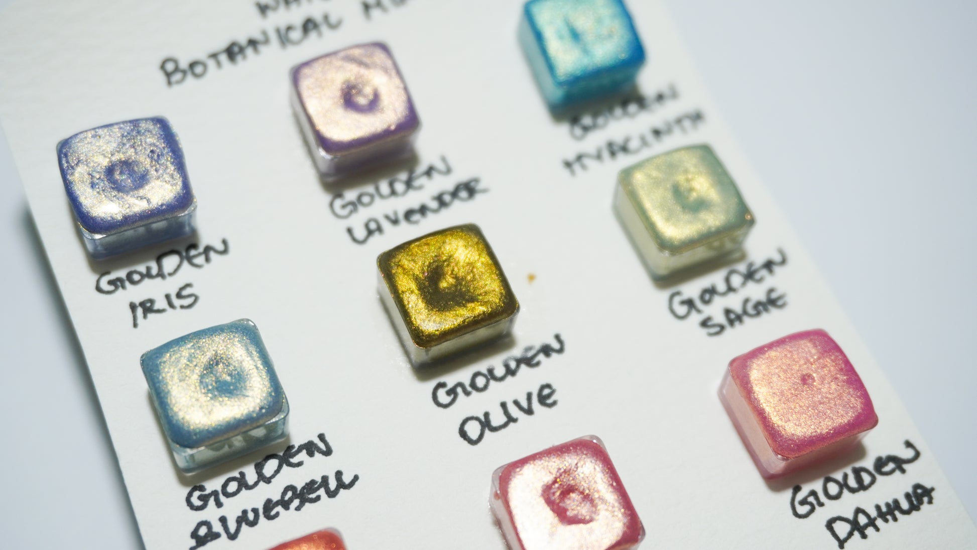 Acuarelas Artesanales:  Botanical Set Mini Pans- Chroma Watercolors KEEPLIVINGFASTER