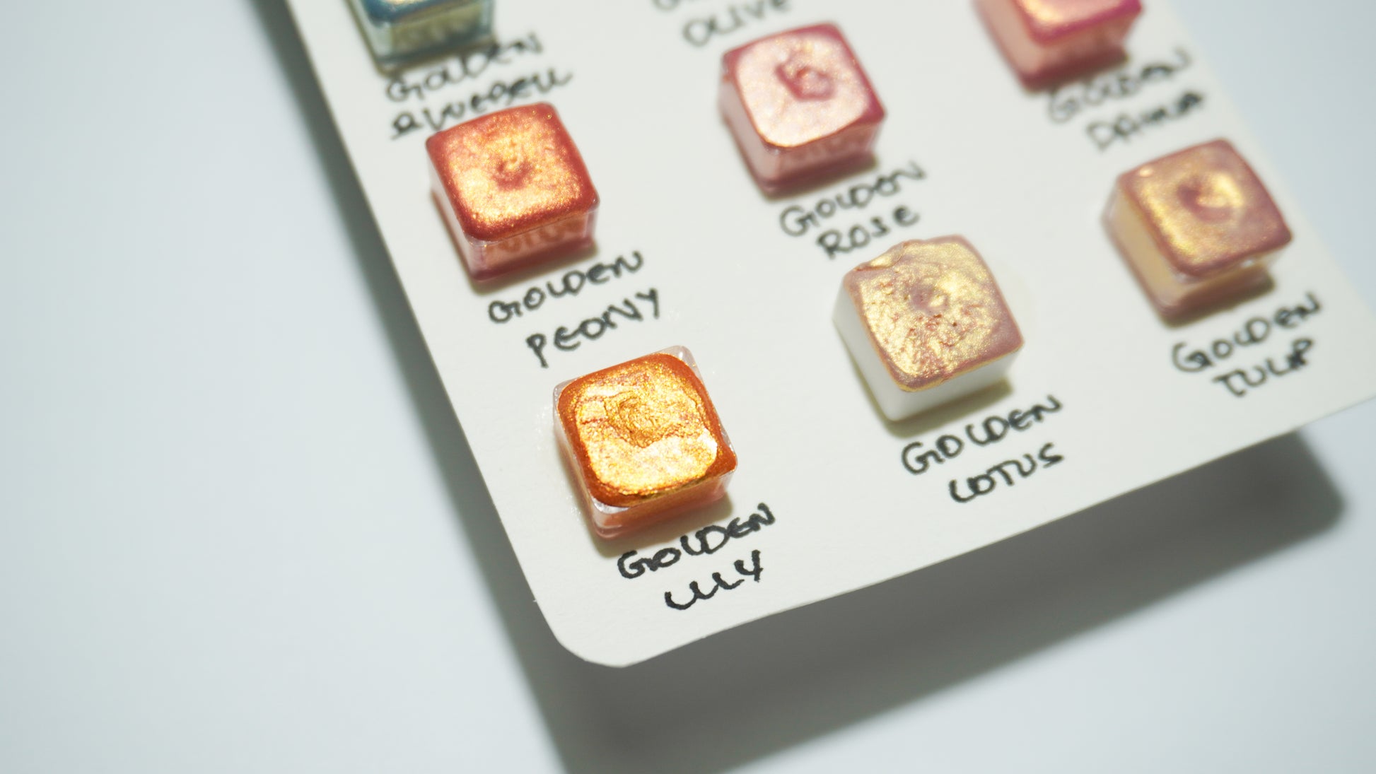 Acuarelas Artesanales:  Botanical Set Mini Pans- Chroma Watercolors KEEPLIVINGFASTER