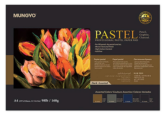 MUNGYO Bloc de papel pastel profesional tamaño A4 para pastel al óleo, pastel seco, 30 hojas (surtido oscuro)