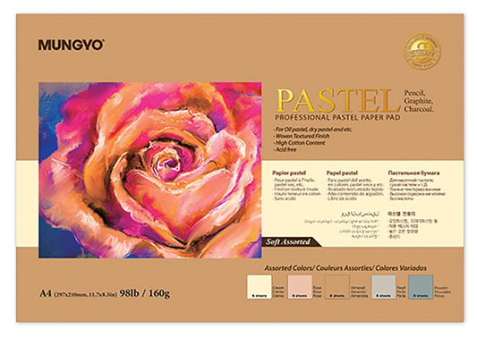 MUNGYO Bloc de papel pastel profesional tamaño A4 para pastel al óleo, pastel seco, 30 hojas (surtido suave)